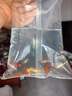 小型觀賞魚孔雀魚米奇魚斑馬魚白云金絲金苔鼠魚小型熱帶魚活體魚 孔雀米奇各3條+斑馬6條送魚食 曬單實拍圖