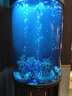 海麗雅2025新款半圓形客廳魚(yú)缸底濾免換水懶人魚(yú)缸亞克力生態(tài)魚(yú)缸 半圓形奢華安裝 63X43X163CM 曬單實(shí)拍圖