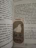【京東自營】快樂就是哈哈哈哈哈 梁實秋120周年插圖紀念版 中國近代散文選集隨筆隨書附贈4張“海鷗的人生哲學(xué)”書簽 曬單實拍圖