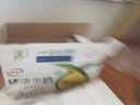 伊利臻濃牛奶高鈣 250ml*16盒 +50%鈣 咖啡搭檔 禮盒裝 曬單實(shí)拍圖