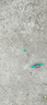 漁永記（YUYONGJI） 七星漂線組傳統(tǒng)釣線組套裝鯽魚單鉤魚鉤魚線魚漂組合全套成品手竿 漁永記 七星漂線組 雙鉤5.4米【6個裝 送盒子】 1.2號 曬單實拍圖