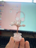 菩境水晶樹擺件聚寶盆黃水晶發(fā)財(cái)樹水晶碎石diy水晶盆栽車載擺件 曬單實(shí)拍圖