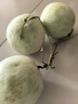 隴百味【產(chǎn)地直發(fā)】山東玉菇甜瓜 冰淇淋香瓜  新鮮應季當季時令水果 整箱5斤【單果800g+】凈4.5-5斤 曬單實拍圖