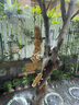 風(fēng)草集戶外花園裝飾掛件仿真松鼠攀爬樹(shù)上庭院露臺(tái)陽(yáng)臺(tái)動(dòng)物布置擺件 母子松鼠吊繩 曬單實(shí)拍圖