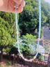 Amber Lollipop天河石項(xiàng)鏈女巴洛克珍珠輕奢鎖骨鏈生日七夕情人節(jié)禮物送女友老婆 藍(lán)色-珍珠 曬單實(shí)拍圖