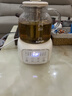 蘇泊爾（SUPOR）養(yǎng)生壺1.2升L煮茶器花茶壺恒溫水壺?zé)畨?16L發(fā)熱盤電熱水壺辦公室保溫煮茶壺養(yǎng)生壺煮茶器花茶壺 1.2L 【玻璃】316L發(fā)熱盤 曬單實拍圖