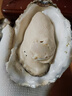 貝司令 鮮活乳山生蠔6XL 凈重4.5斤 6-8只 生鮮海鮮貝類 源頭直發(fā) 曬單實(shí)拍圖