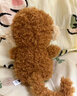 Jellycat英國(guó)卷毛小狗豬羊貓咪蛇毛絨玩偶公仔布娃娃玩具 Little小猴子[18cm] 曬單實(shí)拍圖