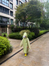 kocotreeKK樹(shù)兒童雨衣男女寶寶防水雨衣小學(xué)生幼兒園中小童上學(xué)雨披防風(fēng) 恐龍鬧鬧 L 曬單實(shí)拍圖