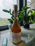 TOKAJI托卡伊貴腐白葡萄酒甜酒匈牙利TOKAJ貴腐酒甜白葡萄酒聚會(huì )送禮 托卡伊薩摩羅德尼貴腐酒 500mL 1瓶 曬單實(shí)拍圖