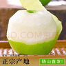 京地達(dá)碭山青皮翠冠梨 凈重9斤單果250g 青皮皇冠梨子源頭直發(fā)包郵 曬單實(shí)拍圖
