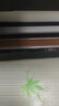 新鮮世界（Fresh World）抽真空封口機干濕兩用食品真空包裝機大吸力自動保鮮機家用商用 【家商兩用85KPA】雙絲封口8MM 曬單實拍圖