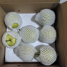 京鮮生 河北青翠蜜梨 凈重4.5斤 單果250g+ 青皇冠梨 生鮮水果 源頭直發(fā) 曬單實拍圖