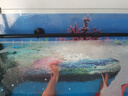 創(chuàng)星前置過(guò)濾桶無(wú)動(dòng)力外置魚(yú)缸過(guò)濾器草缸過(guò)濾循環(huán)系統(tǒng)QM 【接12mm內(nèi)徑軟管】含濾棉 曬單實(shí)拍圖