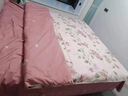水星系列春夏小清新100全棉四件套斜紋純棉床笠床單田園床上用品2026新款 南枝-粉【掌柜推薦】【100%全棉 2.0m 床單款 （被套220*240cm） 曬單實(shí)拍圖