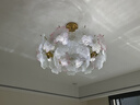豪盛特客廳吊燈法式奶油風(fēng)水晶花瓣餐廳燈復(fù)古輕奢臥室鄉(xiāng)村田園大廳主燈 粉色玻璃【單層】60CM全光譜三色 曬單實(shí)拍圖