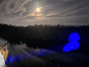 Warsun藍(lán)光釣魚燈激光大炮大功率夜釣燈超亮強(qiáng)光手電三光源臺(tái)釣GD 曬單實(shí)拍圖