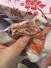 京東京造【10包】輕食原切牛肉500g 即食牛肉健身減脂食品代餐零食醬牛肉 曬單實拍圖