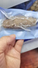 京東京造大連冷凍即食海參1000g 30-50只 固形物不低于70% 遼刺參 曬單實拍圖