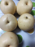 谷真正宗皇冠梨10斤整箱脆梨當(dāng)季皮薄新鮮水果多汁梨子酥脆河北皇冠梨 精選 皇冠梨 3斤裝 曬單實(shí)拍圖