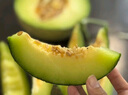 禾境風(fēng)物 正宗玫瓏網(wǎng)紋瓜禮盒裝8-8.5斤 4粒裝 現(xiàn)摘現(xiàn)發(fā) 順豐發(fā)貨 2粒(約4-4.5斤) 單果1kg+含贈(zèng)品 曬單實(shí)拍圖