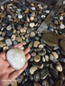 月明星稀50斤拋光鵝卵石鋪地石頭庭院花園造景裝飾雨花石鋪路鵝軟石鵝暖石 50斤 精品五彩4-6厘米 曬單實(shí)拍圖