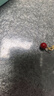 Qlady紅色耳環(huán)女2025年氣質(zhì)高級感銀針耳釘小眾設(shè)計新娘耳飾生日禮物 曬單實拍圖
