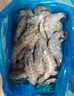 鮮京采 原裝進口厄瓜多爾白蝦 凈重3.3斤 大號30-40規(guī)格 50-66只/盒 曬單實拍圖
