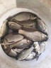 竿止環(huán)鋁合金魚竿防滑圈固定圈防脫釣魚環(huán)高檔野釣路亞魚竿擋圈 【黑/1號(hào)】竿止 曬單實(shí)拍圖