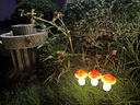 倩揮太陽能蘑菇小夜燈戶外庭院花園陽臺布置家用草坪防水景觀裝飾彩燈 黃蘑菇-3只【1套】 曬單實拍圖
