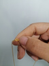 中鑫珠寶煙雨夢蝴蝶黃金項鏈5G工藝漸變琺瑯鎖骨鏈足金999套鏈女 5.32g 曬單實拍圖
