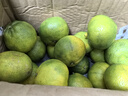 壹萌果蔬云南蜜桔新鮮水果青皮蜜橘應(yīng)季早熟橘子無籽桔子孕婦整箱包郵 5斤|實惠裝【60mm+】-凈4.5斤 曬單實拍圖