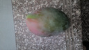 【新鮮上市】正宗攀枝花凱特芒果新鮮水果 帶箱2斤200g+ 曬單實(shí)拍圖
