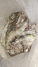 鮮京采 原裝進(jìn)口厄瓜多爾白蝦 凈重3.3斤 大號(hào)30-40規(guī)格 50-66只/盒 曬單實(shí)拍圖