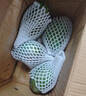 京鮮生 攀枝花凱特芒 凈重8.5斤 帶箱9斤 單果600g+ 生鮮水果 源頭直發(fā) 曬單實(shí)拍圖