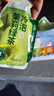 陳一凡茉莉花茶冷泡茶原葉冷萃茶辦公室下午茶奶茶獨立袋泡茶包12泡36克 曬單實拍圖