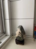 靈犀一點(diǎn)通泰山石敢當(dāng)原石風(fēng)水鎮(zhèn)宅進(jìn)宅招財(cái)石頭辦公室內(nèi)外補(bǔ)角靠 已--原石1-3斤高10-15厘米 曬單實(shí)拍圖