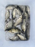 小鳳仙魚漂套裝全套黑坑野釣浮漂加粗醒目高靈敏鯽魚漂帶漂盒浮漂套裝 12支【梅蘭竹菊2.2倍醒目套裝】ABS套裝 綜合套裝 曬單實拍圖