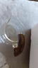 淳意懶人玻璃自動茶具配件磁吸泡茶壺公道杯架子鋼珠濾網(wǎng)單蓋各類零配 光面/公道杯（咖色） 曬單實拍圖