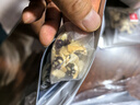 神農(nóng)金康黃芪麥冬五味子茶330g（60袋）生脈散搭中藥材飲出止汗茶 曬單實拍圖