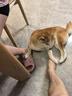 十月結(jié)晶 嬰兒勺子寶寶硅膠軟勺新生兒喂水小勺子兒童餐具輔食軟頭 水蜜桃粉（兩個裝）+收納盒 曬單實拍圖