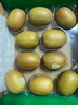 佳沛（zespri）新西蘭  陽(yáng)光金奇異果10粒禮盒巨大果單果約144-175g 水果 獼猴桃 曬單實(shí)拍圖