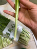 綠源禾心有機(jī)韭菜新鮮現(xiàn)割鮮嫩炒菜燒烤餃子餡農(nóng)場當(dāng)季時(shí)令健康無農(nóng)殘蔬菜 3斤 曬單實(shí)拍圖