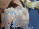 POP MART泡泡瑪特 DIMOO自然的形狀系列手辦盲盒潮玩玩具七夕禮物 整盒12個 不支持七天無理由退換 曬單實拍圖