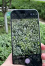 Apple/蘋果 iPhone 16 Pro（A3294）128GB 原色鈦金屬 支持移動(dòng)聯(lián)通電信5G 雙卡雙待手機(jī) 曬單實(shí)拍圖