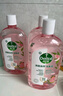 滴露（Dettol）香氛自然衣物消毒液殺菌48H留香洗衣除汗臭兒童玩具消毒水1000ml 曬單實拍圖