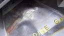 龍大肉食 醬鹵豬大骨4斤組合（豬棒骨1kg+豬脊骨1kg+老鹵汁） 豬肉生鮮 曬單實拍圖