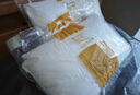 金可兒（Kingkoil）品質(zhì)家紡床笠保護(hù)套枕頭乳膠枕纖維枕【贈(zèng)品專用鏈接】 豪華床笠(1.8*2米)+纖維枕*2 曬單實(shí)拍圖