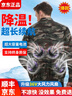 維曼芬夏季降溫空調(diào)服帶風(fēng)扇的衣服戶外防暑充電制冷勞保工人工地工作服 4風(fēng)扇迷彩2件+掛腰大電池36V1套 XL 推薦125-145斤 曬單實(shí)拍圖