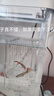 奈寵魚(yú)缸隔離盒孵化盒熱帶魚(yú)小魚(yú)幼魚(yú)大小號(hào)孔雀魚(yú)繁殖盒孵化器產(chǎn)卵房 【孵化盒單房】特大號(hào) 曬單實(shí)拍圖